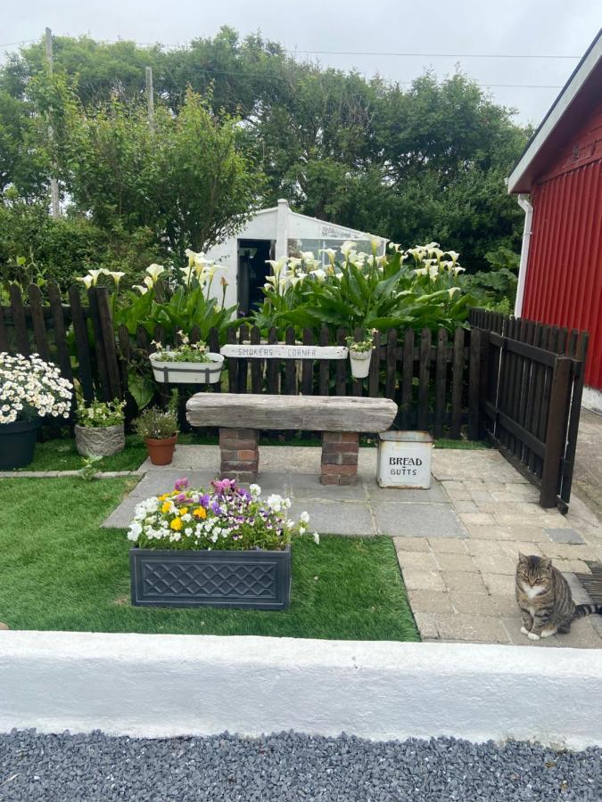 Barrow Harbour Studio Apartment Tralee Exteriör bild