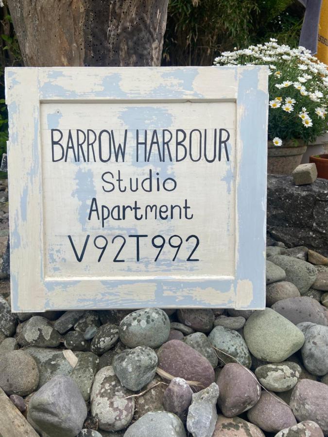 Barrow Harbour Studio Apartment Tralee Exteriör bild