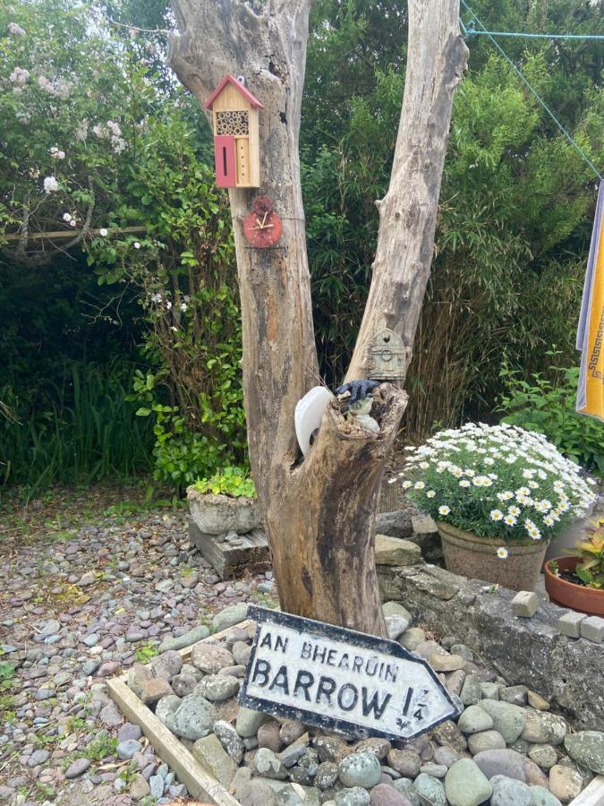 Barrow Harbour Studio Apartment Tralee Exteriör bild